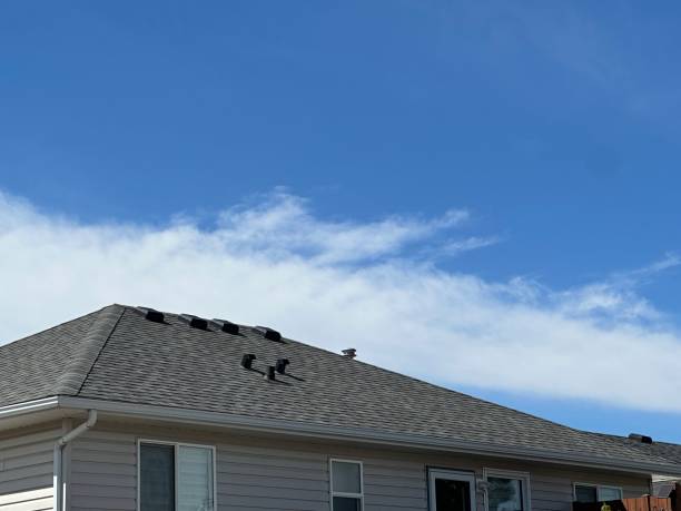 Best Roof Leak Repair  in Wales, WI